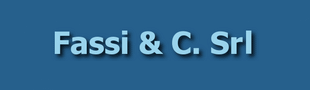 Fassi & C. Srl